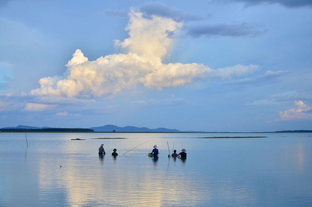 C&acirc;u c&aacute; ở l&ograve;ng hồ Dầu Tiếng